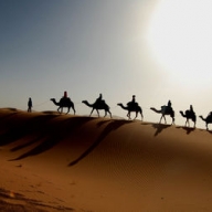 Сахара стала более влажной - ученые Сахара стала более влажной - ученые