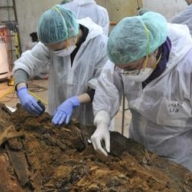 � ������� ���������� ������ ������ �� ����������