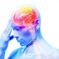 ����� �������� ���������, �������������� �������� ����������� ��������