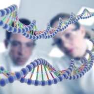 ������ ������ ���� ���������� ��� �������