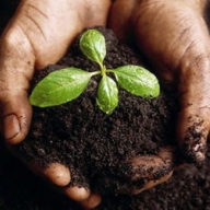 ������� ������� ��������� ���� 25% ��������������� ��������