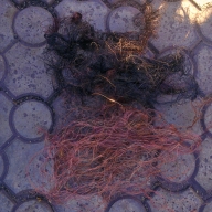 В Мариуполе на Левобережье задержали похитителей кабеля В Мариуполе на Левобережье задержали похитителей кабеля