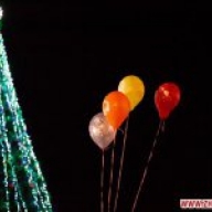 � �������� ��������� ����� ������������ ���������� ����������� � ������� 29 �������