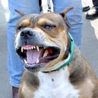 � ����� �������� ����� ���� �������� �� �����