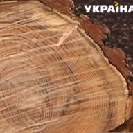� ���������������� ������� ������ ����� ��� ����������