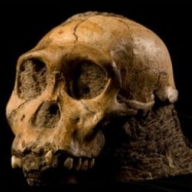 Ученые нашли ровесницу Ученые нашли ровесницу