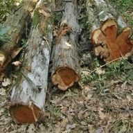 � ���������� ������� ������� ������ ��������� 3-������� �������