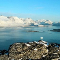 Ледники Гренландии стремительно тают Ледники Гренландии стремительно тают