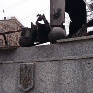 ��� ����������� ������ ������� � ��������