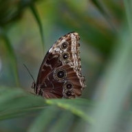 � ������� ������������ ����������