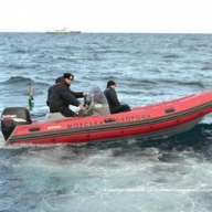 � ����� ��������� �������� ���� ������ ������