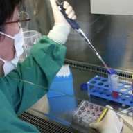 ������ ������� 