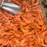 �� ������ ������� ���� ��������� ���������� �  ���������� �� ����� 60 ���. ���