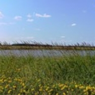 ϳ��� ������ �������� ����������� ������� ����������� �������� ����� �� ��������� ������ ������