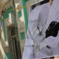 � ����� ���� ���������� �������� �� ���� �������� �������� �����