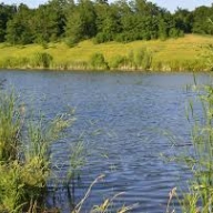 ����������� ������� ������ 22 �� ���� ������� ����� � ����������� ������