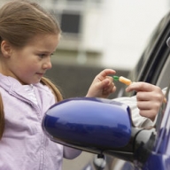 � ������ ����� ������ ��������� ��������-���������