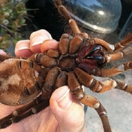 ������ ���� ������ ������