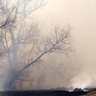 ������� ������� � ������� �� �������� ������� � 11 ���