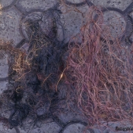 В Мариуполе милиционеры задержали В Мариуполе милиционеры задержали