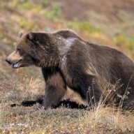 ������� ��������� ������� ������������ ��������� ������� 