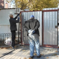 � ������ ����������� ������������� ����������� ����� (����)