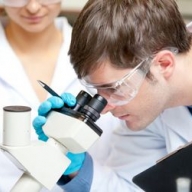 � ����� ������� �������� �� ���������� ����