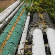 � ������ ������� ����� ������ �����, ���������� ��� ����� ��������� � ��������� �������