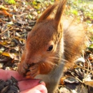 ������� ���������� �� �������� ����� ������� � ������� ����������� �����