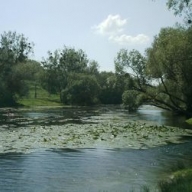 � ��������� ������ �������� �� ����� ���� �������