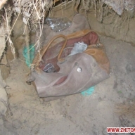 � ��� �� ��������� ������ ����������� �������� �� ������� ����� �� ���������