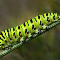 � ����� ��������  ��������� ����� ����� ������� � ������ �����