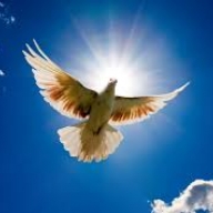 Большинство украинцев назвали главным приоритетом - мир в Донбассе Большинство украинцев назвали главным приоритетом - мир в Донбассе