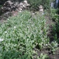 � ³������� ������ �������� ��������� ���� ��������� ��������� ����