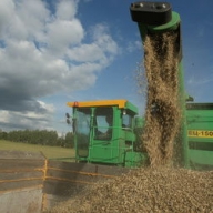 В Крыму сократилось производство сельхозпродукции и снизились зарплаты В Крыму сократилось производство сельхозпродукции и снизились зарплаты