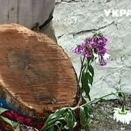 � ��������� ������� �� ����� ������ �������� ������ ����� 