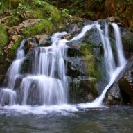 ����� ������ �� ���������� ������� 13 ����� �� ��� ��� � ��������