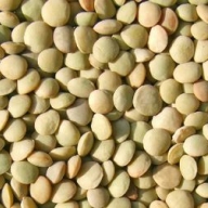 ������ �� ������� �������� ���� ������