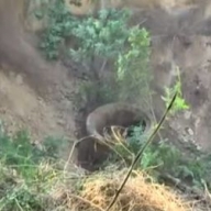 � ��������� ��������� ������������� ��������������� ���������