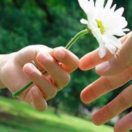 ������ ����� ������ ������� �������� ������