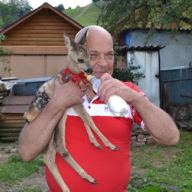 ������� � ��������: ������������ ���������� ���������� ��������� �� ������ � 8 ����