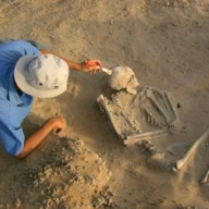 Люди умели лечить кариес уже 14 тысяч лет назад - археологи Люди умели лечить кариес уже 14 тысяч лет назад - археологи