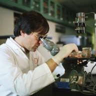 ������ �������� ������������� ��������� ������ ����