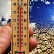 ������ �������� � �������� ���������: ���������� ���� ����� �������