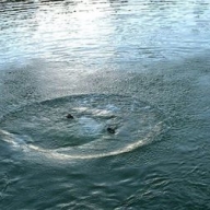 � ��������� �� �������� ������ ������� ���� �������