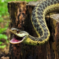 ������ ����� ������������ ���� 