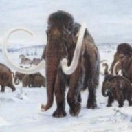 �������� �������� �� �����������, � ���������� - ������