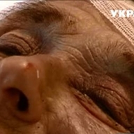 ���� �������� ������ �������� � �������� ������� � ���� ����� 