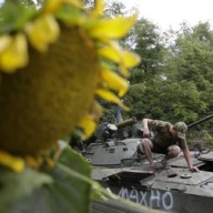 ������� �������� ����������� ��� � ��������