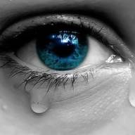 ��� ������� ������ �������� �� ��������� �������� � ���� �������